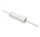 22 Ohm 10 Watt Resistor